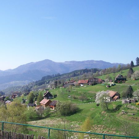 Les Lupins Bed & Breakfast Geishouse Exterior photo